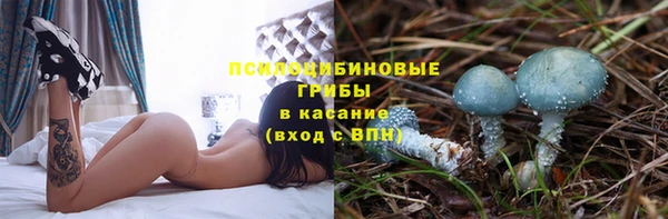 сатива Алексин