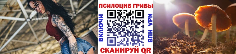 цены наркотик  Солнечногорск  Галлюциногенные грибы MAGIC MUSHROOMS 