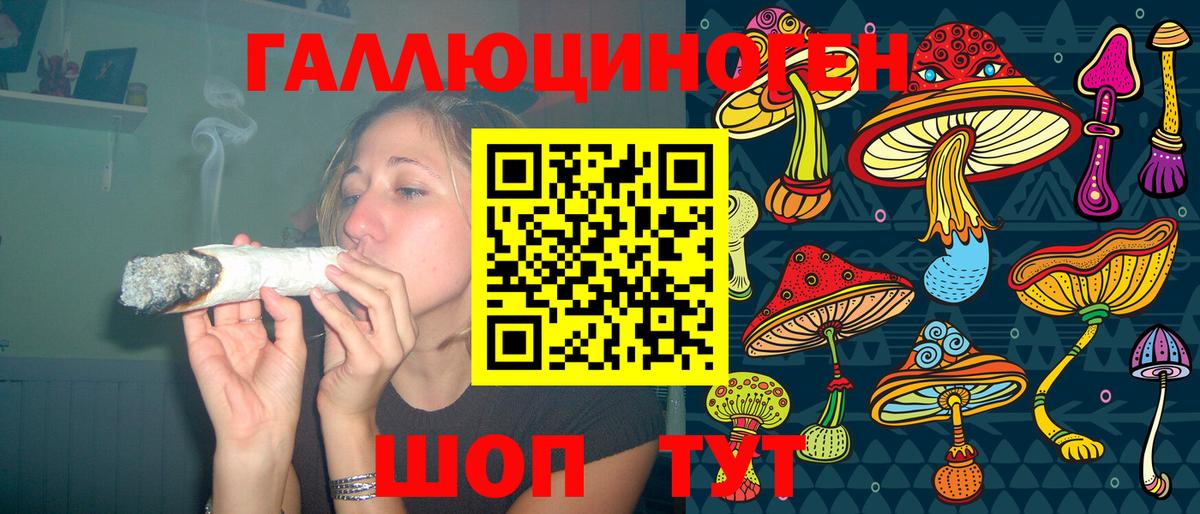 Солнечногорск  где купить наркоту  Вход с VPN  Галлюциногенные грибы Psilocybine cubensis 